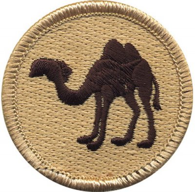 Scouts Patches